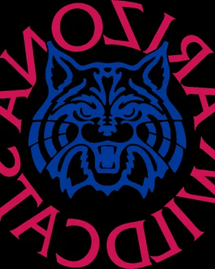 Arizona Wildcats New York