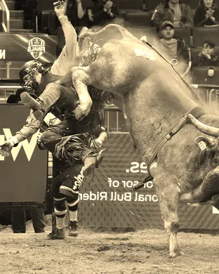 Pbr - Unleash The Beast New York